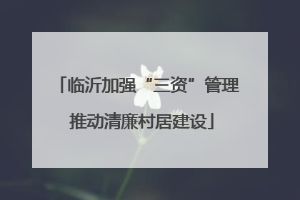 临沂加强“三资”管理 推动清廉村居建设