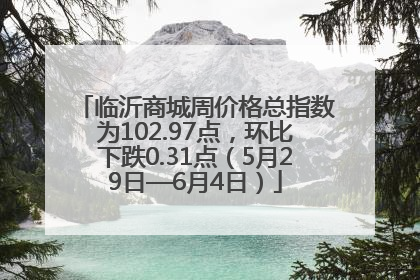 临沂商城周价格总指数为102.97点，环比下跌0.31点（5月29日—6月4日）