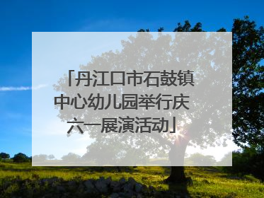丹江口市石鼓镇中心幼儿园举行庆六一展演活动