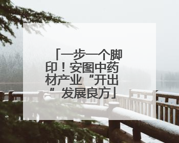 一步一个脚印！安图中药材产业“开出”发展良方