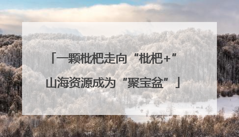 一颗枇杷走向“枇杷+” 山海资源成为“聚宝盆”