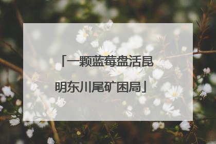 一颗蓝莓盘活昆明东川尾矿困局