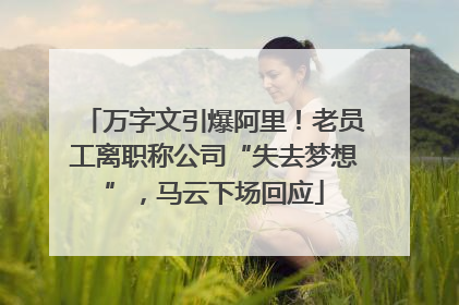 万字文引爆阿里！老员工离职称公司“失去梦想”，马云下场回应