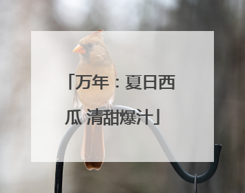 万年：夏日西瓜 清甜爆汁