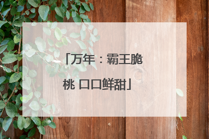 万年：霸王脆桃 口口鲜甜