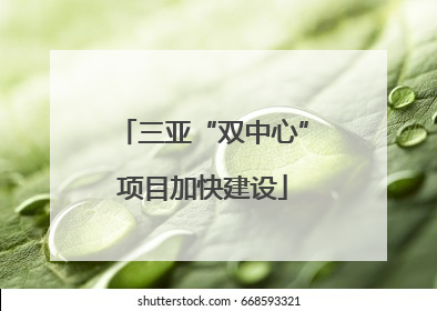 三亚“双中心”项目加快建设