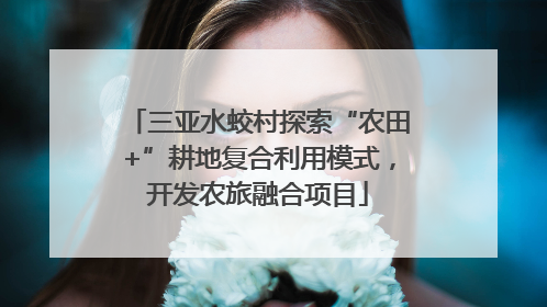 三亚水蛟村探索“农田+”耕地复合利用模式，开发农旅融合项目