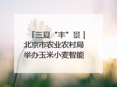三夏“丰”景｜北京市农业农村局举办玉米小麦智能农机装备推广“田间日”活动
