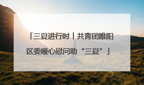 三夏进行时丨共青团睢阳区委暖心慰问助“三夏”