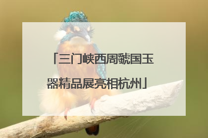 三门峡西周虢国玉器精品展亮相杭州