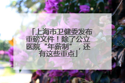 上海市卫健委发布重磅文件！除了公立医院“年薪制”，还有这些重点