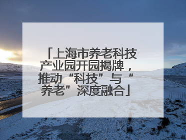 上海市养老科技产业园开园揭牌，推动“科技”与“养老”深度融合