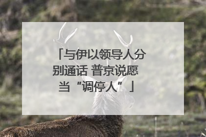 与伊以领导人分别通话 普京说愿当“调停人”