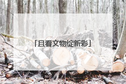 且看文物绽新彩
