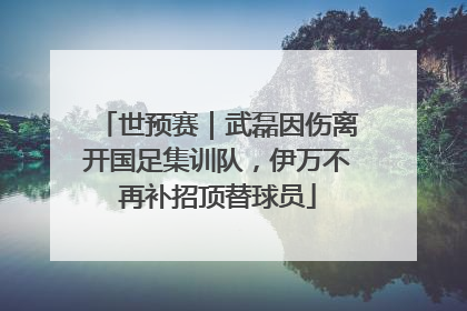 世预赛｜武磊因伤离开国足集训队，伊万不再补招顶替球员