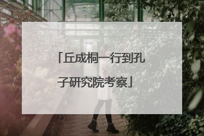 丘成桐一行到孔子研究院考察