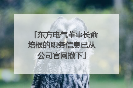 东方电气董事长俞培根的职务信息已从公司官网撤下