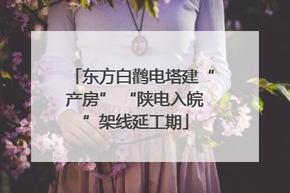 东方白鹳电塔建“产房” “陕电入皖”架线延工期
