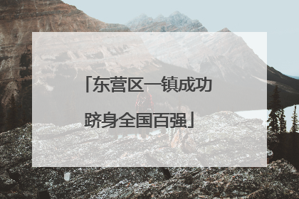 东营区一镇成功跻身全国百强