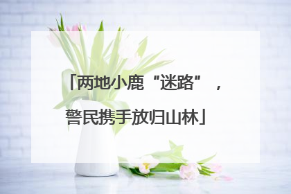 两地小鹿“迷路”，警民携手放归山林