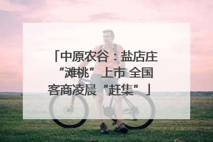 中原农谷：盐店庄“滩桃”上市 全国客商凌晨“赶集”