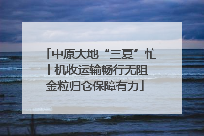 中原大地“三夏”忙丨机收运输畅行无阻 金粒归仓保障有力