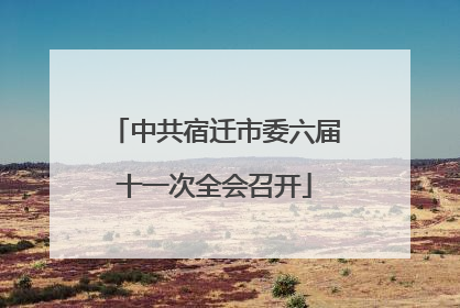 中共宿迁市委六届十一次全会召开