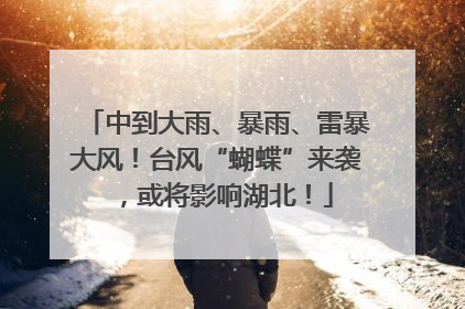 中到大雨、暴雨、雷暴大风！台风“蝴蝶”来袭，或将影响湖北！