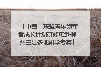 中国—东盟青年领军者成长计划研修班赴柳州三江多地研学考察