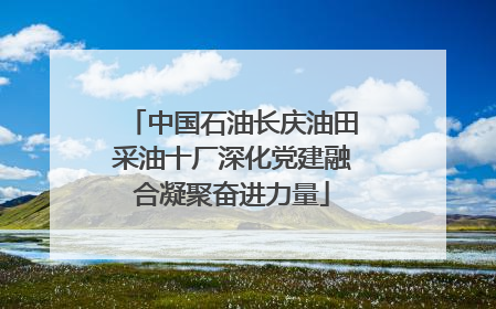 中国石油长庆油田采油十厂深化党建融合凝聚奋进力量