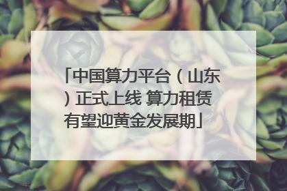 中国算力平台（山东）正式上线 算力租赁有望迎黄金发展期