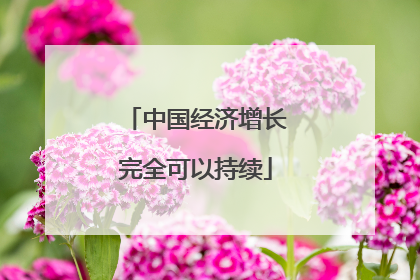 中国经济增长完全可以持续