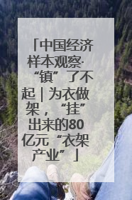 中国经济样本观察·“镇”了不起｜为衣做架，“挂”出来的80亿元“衣架产业”