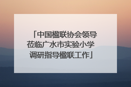 中国楹联协会领导莅临广水市实验小学调研指导楹联工作