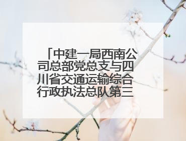 中建一局西南公司总部党总支与四川省交通运输综合行政执法总队第三支队党委、万源市草坝镇莲花院村党支部开展党建联建