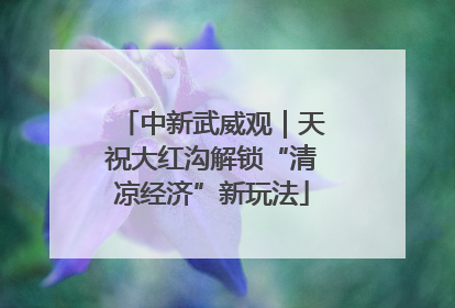 中新武威观｜天祝大红沟解锁“清凉经济”新玩法