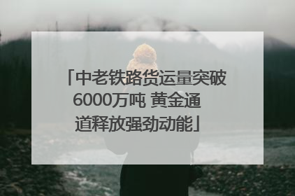 中老铁路货运量突破6000万吨 黄金通道释放强劲动能