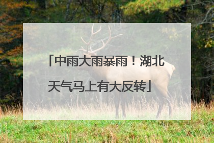 中雨大雨暴雨！湖北天气马上有大反转