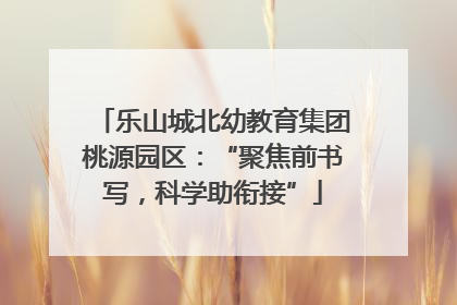 乐山城北幼教育集团桃源园区：“聚焦前书写，科学助衔接”