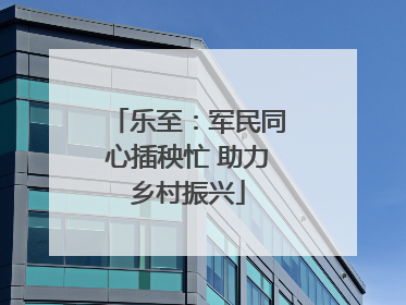 乐至：军民同心插秧忙 助力乡村振兴