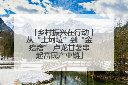 乡村振兴在行动丨从“土坷垃”到“金疙瘩” 卢龙甘薯串起富民产业链