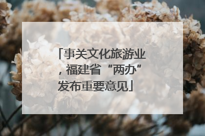 事关文化旅游业，福建省“两办”发布重要意见