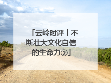 云岭时评丨不断壮大文化自信的生命力②