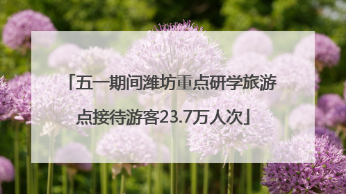 五一期间潍坊重点研学旅游点接待游客23.7万人次