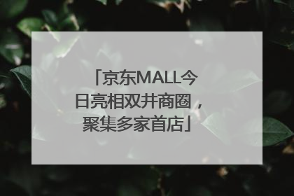 京东MALL今日亮相双井商圈，聚集多家首店