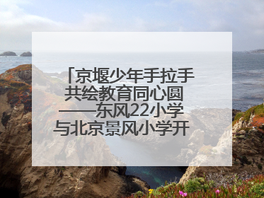 京堰少年手拉手 共绘教育同心圆——东风22小学与北京景风小学开展对口协作活动