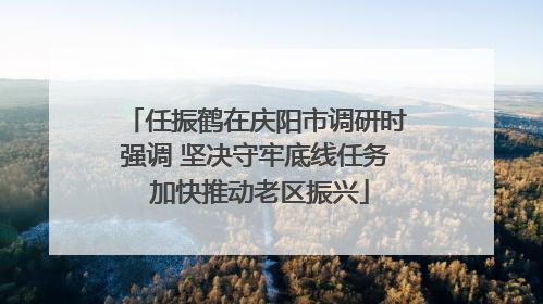 任振鹤在庆阳市调研时强调 坚决守牢底线任务 加快推动老区振兴