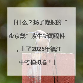 什么？扬子晚报的“夜京畿”紫牛新闻稿件，上了2025年镇江中考模拟卷！