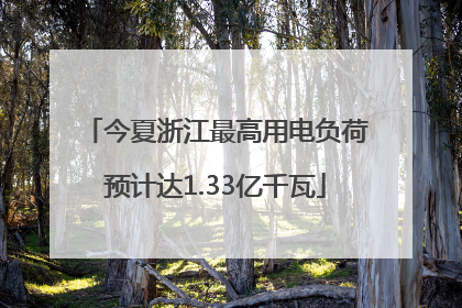 今夏浙江最高用电负荷预计达1.33亿千瓦