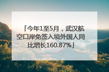 今年1至5月，武汉航空口岸免签入境外国人同比增长160.87%